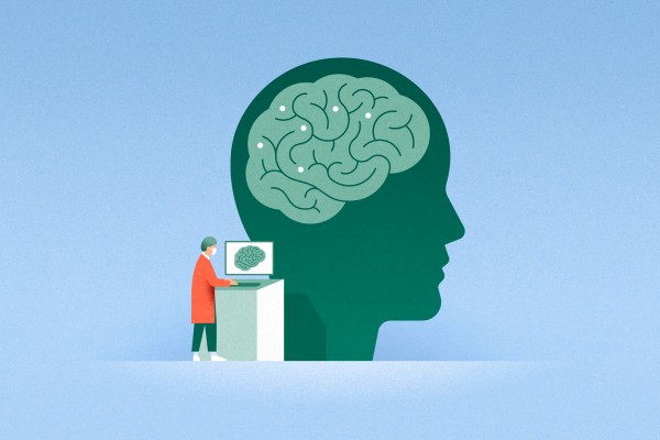 Cours de neurodéveloppement à distance